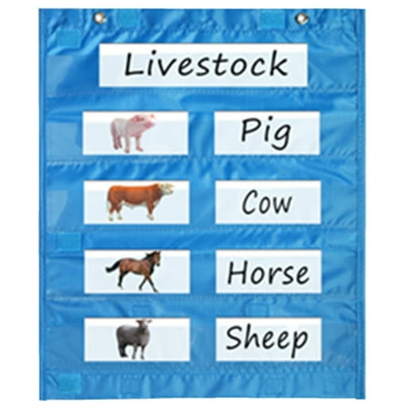 Magnetic Pocket Chart for Whiteboard, Magnetic Pocket Chart Squares for Class Demonstrations, Daily Schedule, Activity