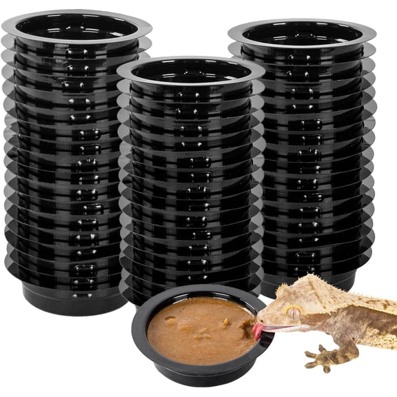 Magnetic Reptile Ledge, Acrylic Gecko Feeding Ledge with 6PCS Cups, Reptile Food Water Feeder Dish for Geckos Iguana Chameleon Pets (Cups)