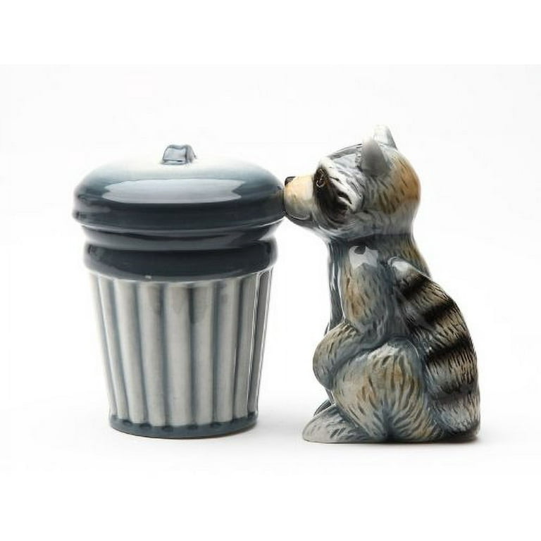 Magnetic Salt and Pepper Shaker - Racoon and Trash 