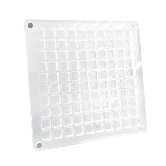 Magnetic Seashell Display Box Transparent Seashell Storage Box Display Box Multifunctional Clear Jewelry Display Organizer Case