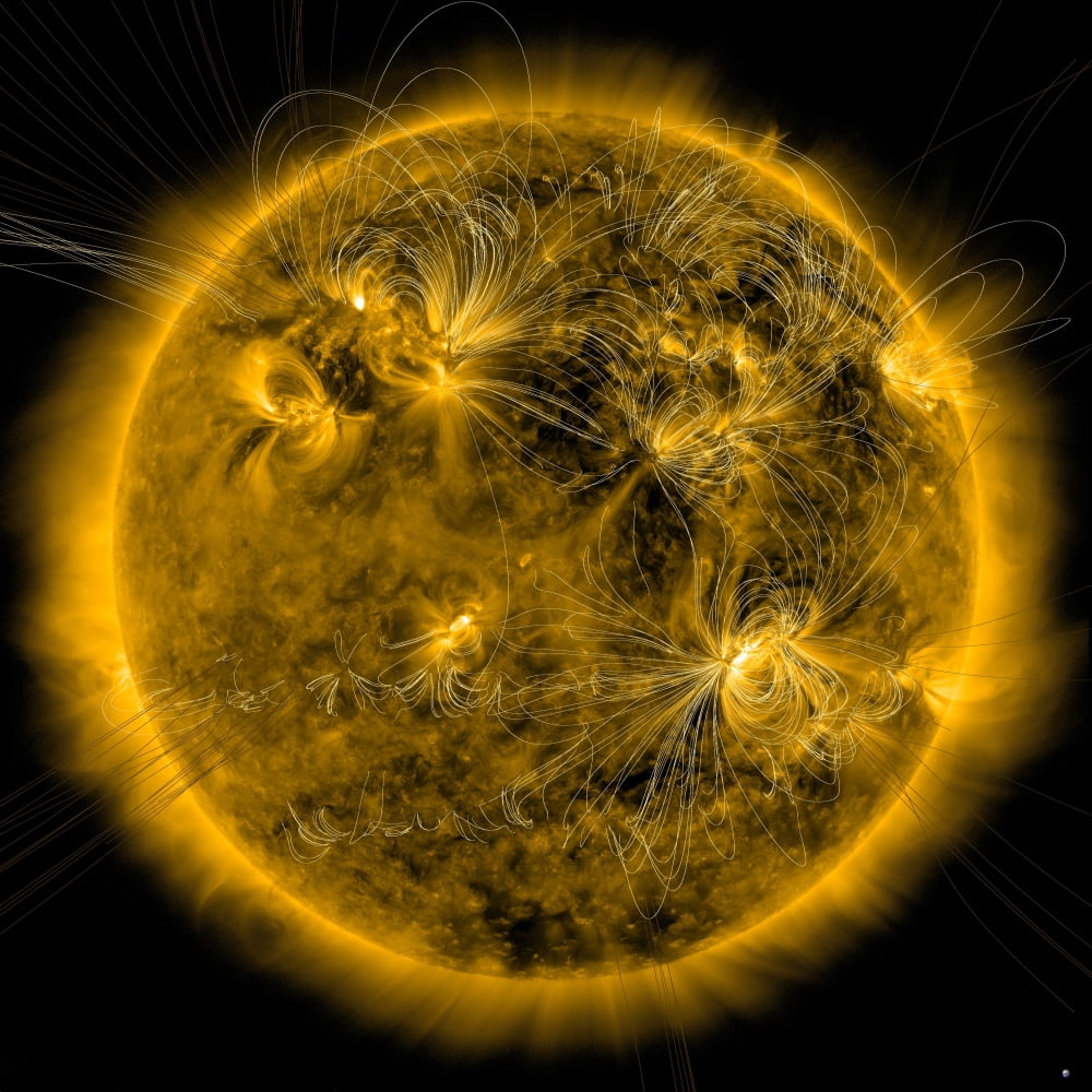 Magnetic field lines on the Sun Canvas Art - Stocktrek Images (28 x 28)