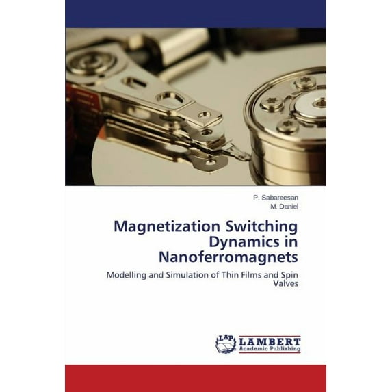 Magnetization Switching Dynamics in Nanoferromagnets (Paperback)
