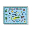 thumbnail image 1 of Magnets Cayman Islands Blue Map Souvenir Metal Refrigerator Magnets 2" x 3" Inch Makes a Great Souvenir or Gift, 1 of 1
