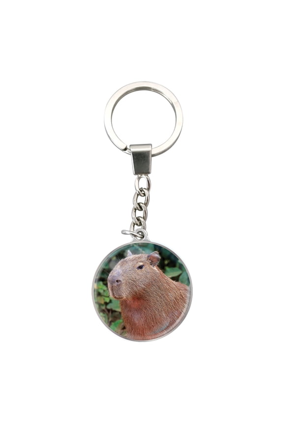 Magnidome Keychain - Capybara from Deluxebase. Crystal Glass Dome Key Ring with Stainless Steel Chain, Aesthetic Keychain for Women & Men