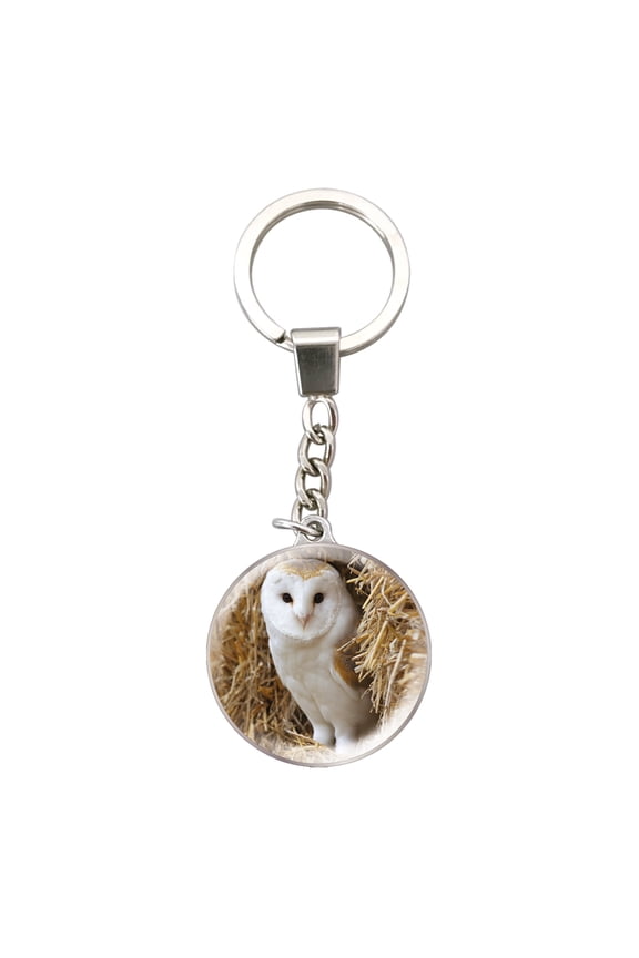 Magnidome Owl Keychain by Deluxebase – Glass Dome Picture Key Ring with Stainless Steel Chain