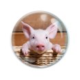 thumbnail image 1 of Magnidome - Pig Magnet from Deluxbase. Crystal Glass Fridge Magnet. Cute Round and Strong Magnets for Refrigerator Magnets, Home Decor and Animal Magnets for Locker Decorations for Kids, 1 of 2