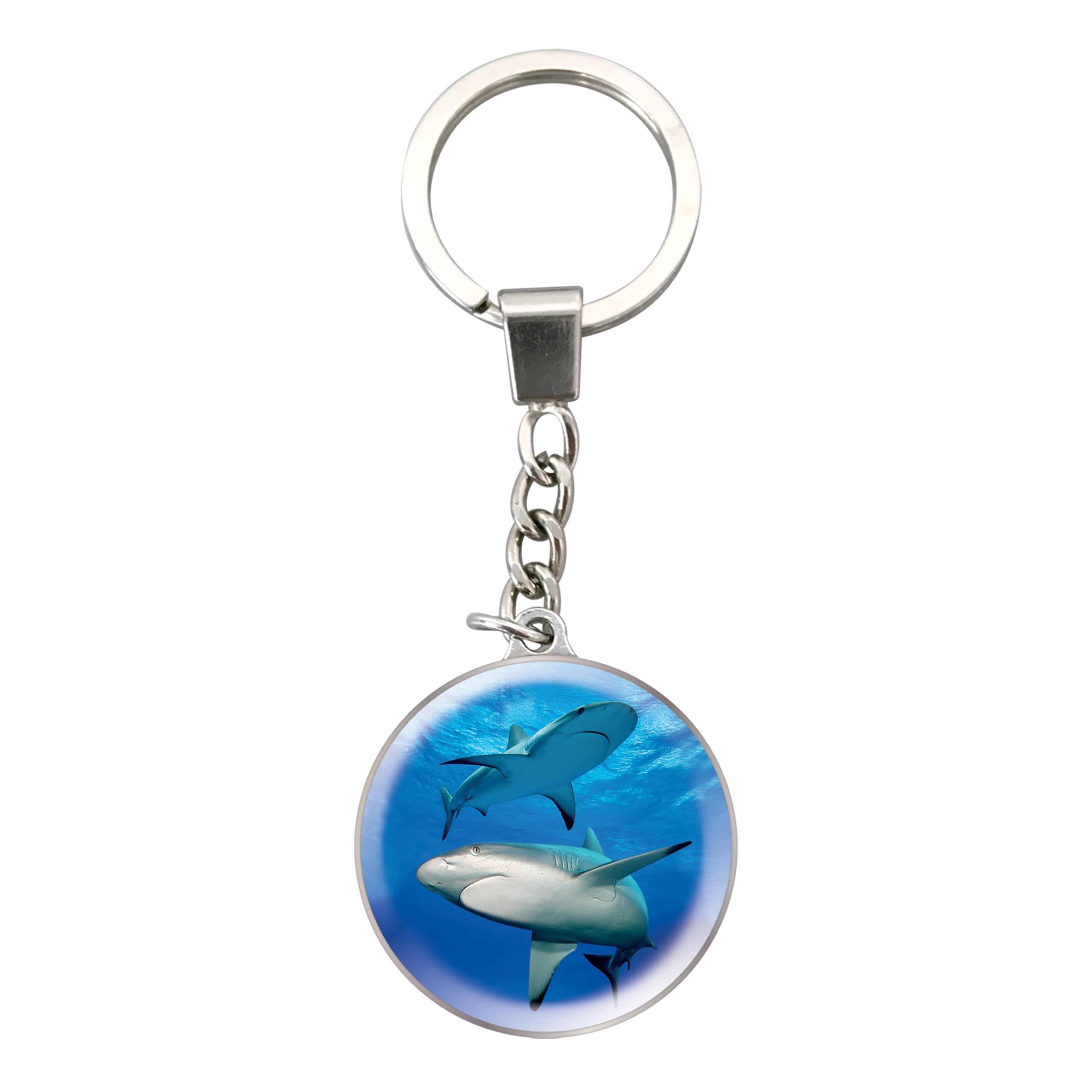 Magnidome Shark Keychain from Deluxebase Dome shaped Picture Key Ring with Stainless Steel