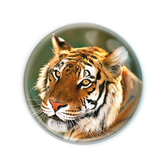 Magnidome - Tiger Magnet from Deluxbase. Crystal Glass Fridge Magnet. Cute Round and Strong Magnets for Refrigerator Magnets, Home Decor and Animal Magnets for Locker Decorations for Kids