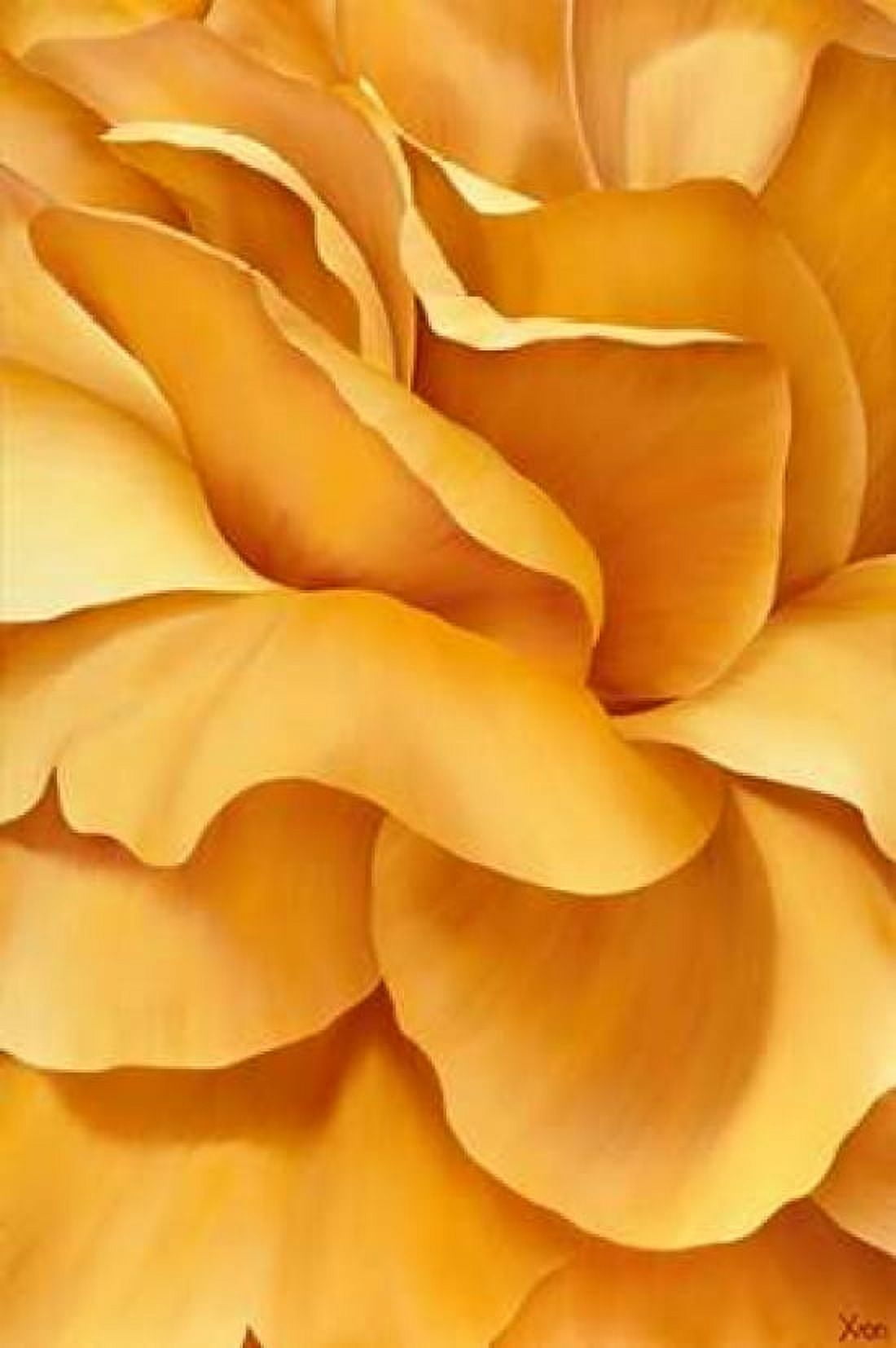 Magnificant Flower I Canvas Art - Yvonne Poelstra-Holzhaus (12 x 18)