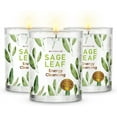 thumbnail image 1 of Magnificent 101 Earthy Sage Leaf Set of 3 Candles, 1 of 7