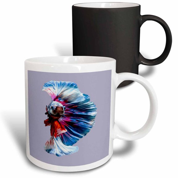 3drose, Magnificent Betta Splendens Aquarium Fish, 11oz Magic Transforming Mug