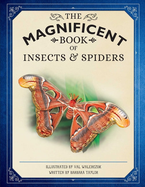 The Magnificent Book of Insects and Spiders - by Weldon Owen (Hardcover)