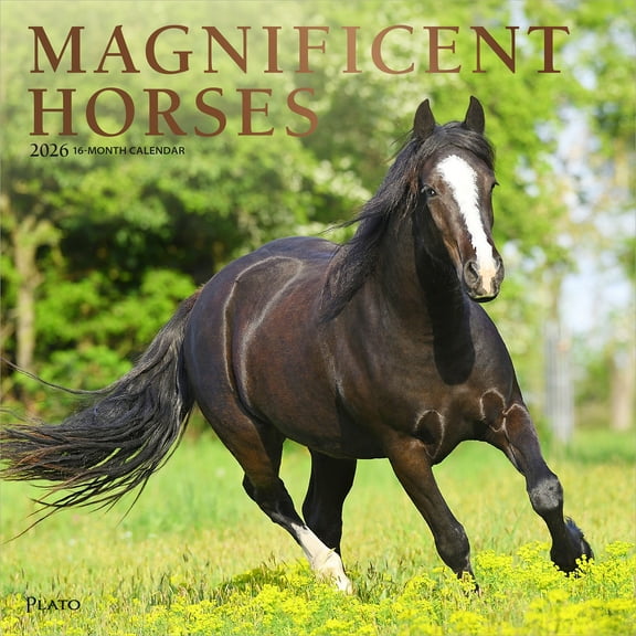 Magnificent Horses | 2026 12x24" (Hanging) Monthly Square Wall Calendar | Plato