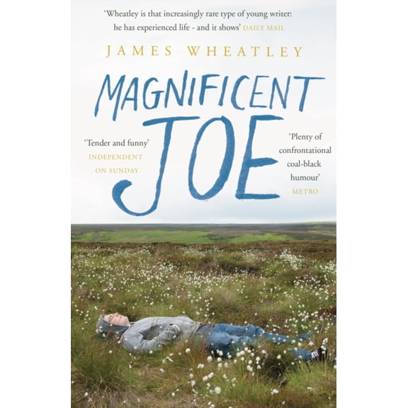 Magnificent Joe (Paperback)
