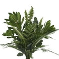 thumbnail image 1 of Magnificent Mixed Greens Bouquet 5 Pack of Farm Direct Fresh Cut Flower Bouquets of Mixed Greenery by Bloomingmore, 1 of 1