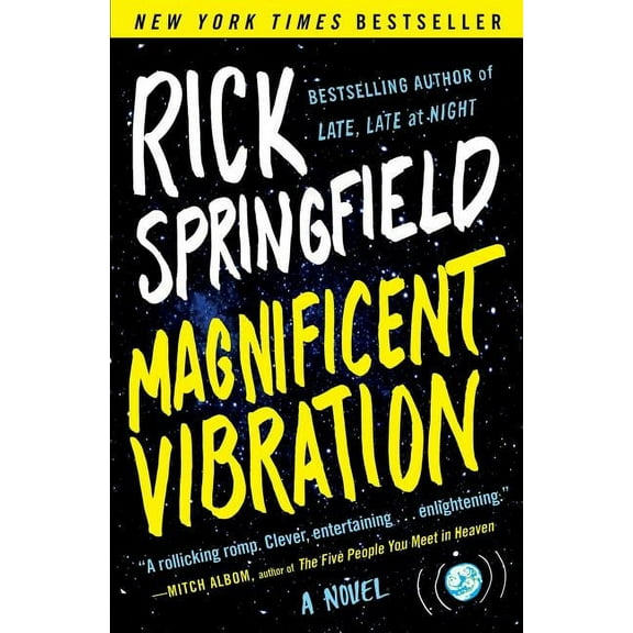 Magnificent Vibration : A Novel (Paperback)