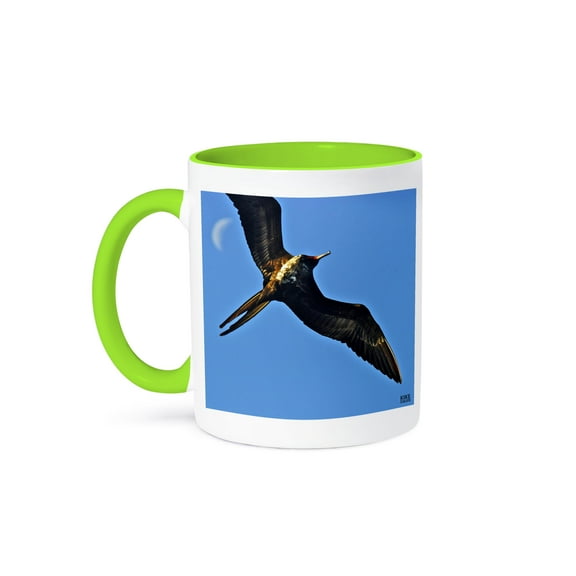 3dRose, Magnificient Frigatebird,Fregata magnificens,, 11oz Two-Tone Green Mug
