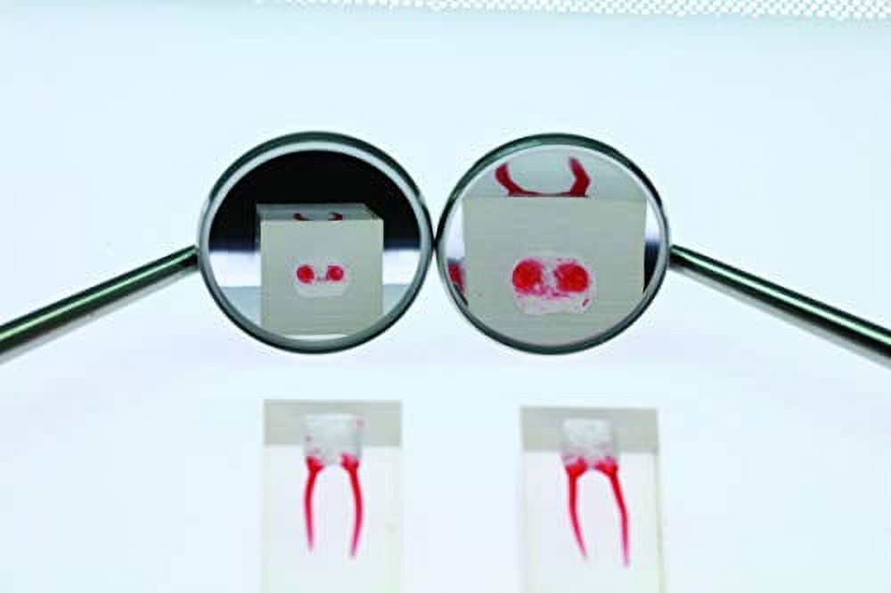 Magnifying Dental Mirror 4, 3X Magnification with NonSlip Metal Handle