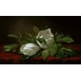 thumbnail image 1 of Magnolia , 19th C. , Martin Johnson Heade (1819-1904/American) , Private Collection,  USA Poster Print (18 x 24), 1 of 1
