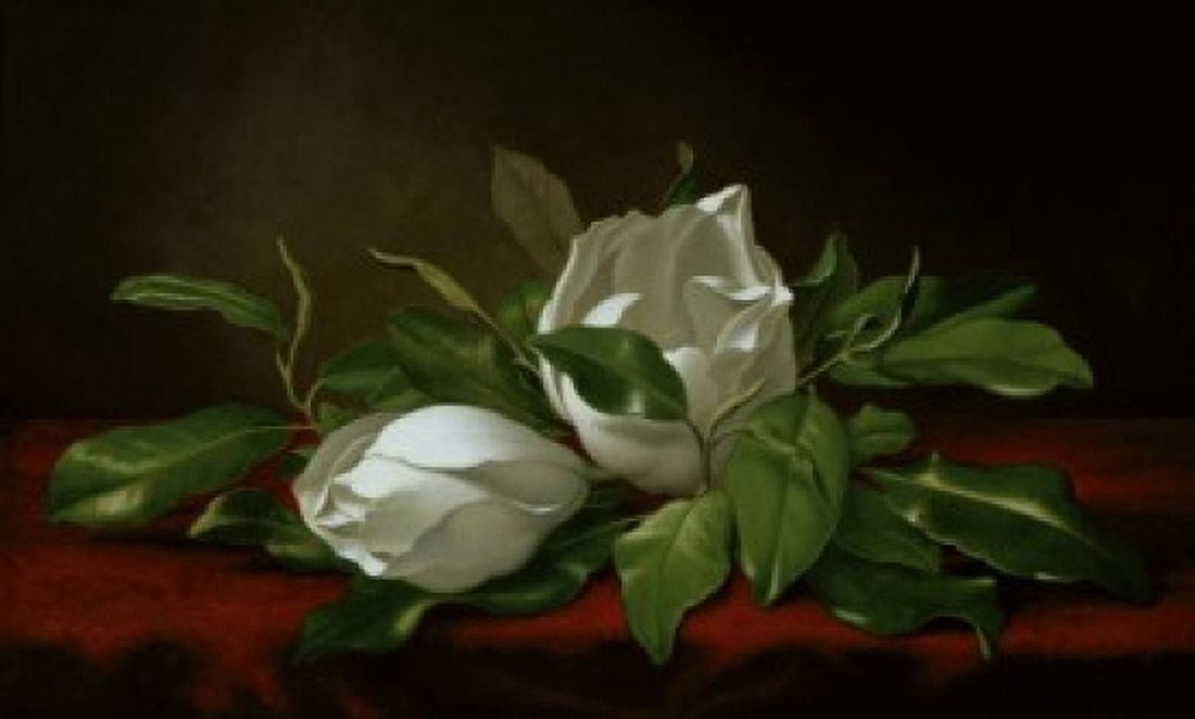 Magnolia  19th C  Martin Johnson Heade (1819-1904American)  Private Collection  USA Canvas Art - Martin Johnson Heade (18 x 24)