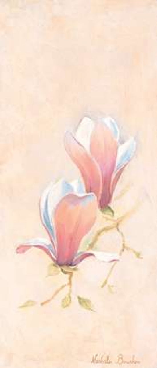 Magnolia 3-3 Canvas Art - Nathalie Boucher (10 x 20)