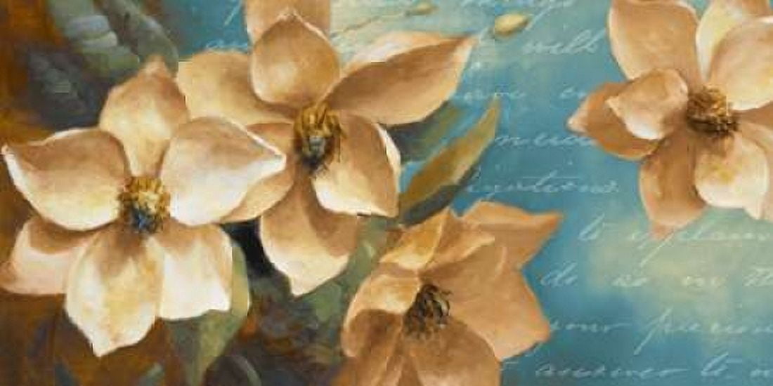 Magnolia Aglow II Canvas Art - Lanie Loreth (10 x 20)