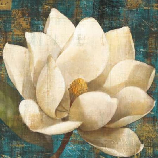 Magnolia Blossom Canvas Art - Albena Hristova (24 x 24)
