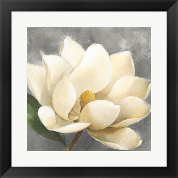 Magnolia Blossom on Gray by Albena Hristova, Framed Wall Art, 19.5W x 19.5H