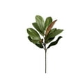 thumbnail image 1 of Magnolia Branches for Home | Realistic Greenery Leaves and Twigs Set for Indoor Outdoor Table Vase Display 2, 1 of 8
