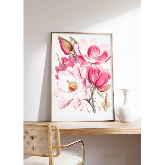 Magnolia Campbellii Botanical Wall Art Floral Art