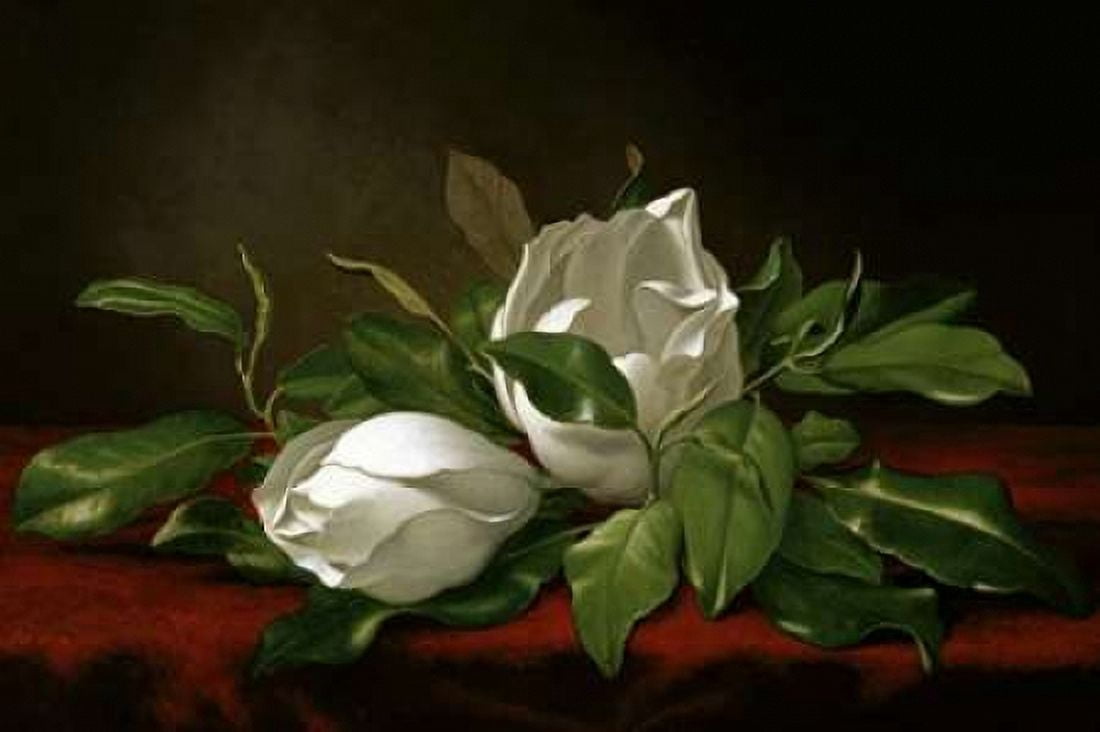 Magnolia Canvas Art - Martin Johnson Heade (12 x 18)