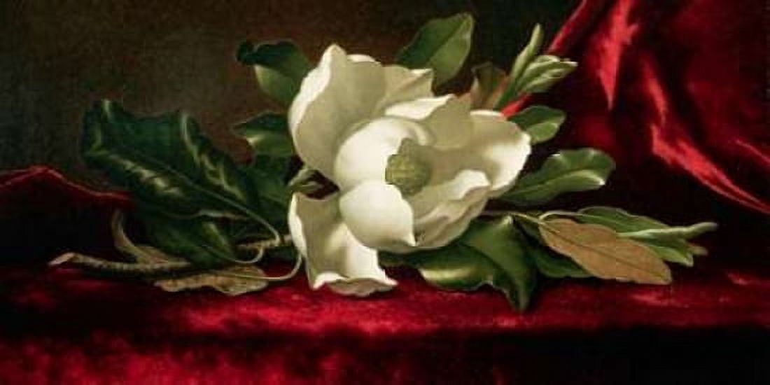 Magnolia Canvas Art - Martin Johnson Heade (24 x 48)