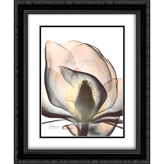Magnolia Close Up 2x Matted 20x24 Black Ornate Framed Art Print by Koetsier, Albert