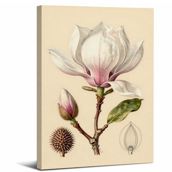 Magnolia Flower Canvas Wall Art Framed Bathroom Decor,perfect for bathroom bedroom or living room decor beautiful wall artwork,8x12in