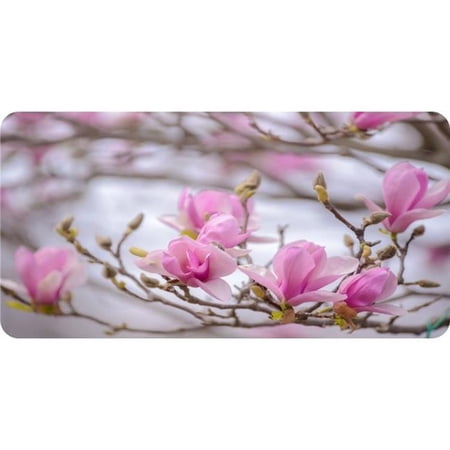 Magnolia Flowers Photo License Plate