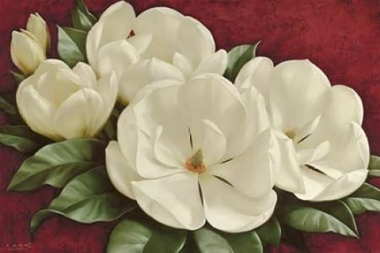 Magnolia I Canvas Art - Igor Levashov (24 x 36)