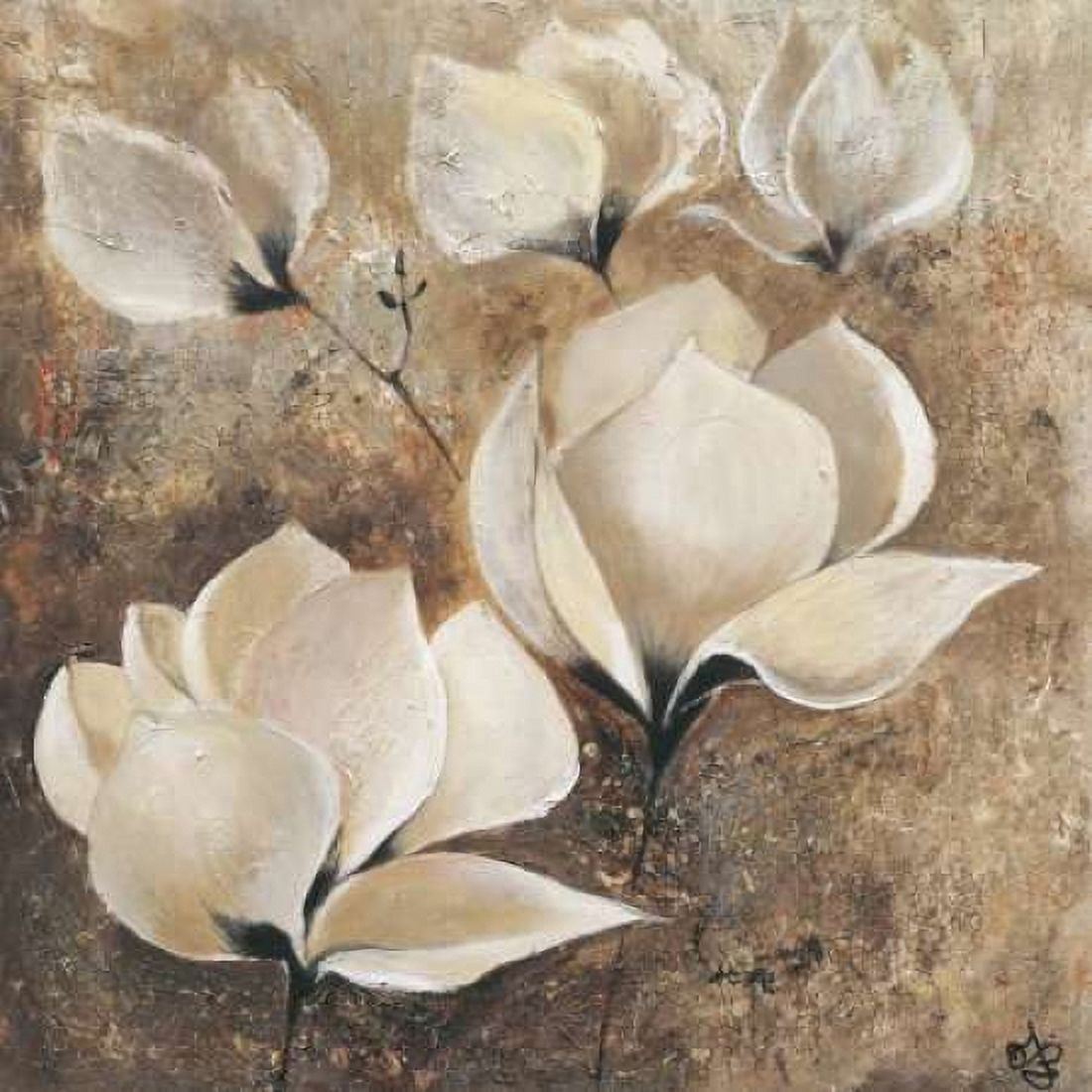 Magnolia I Canvas Art - Yuliya Volynets (24 x 24)