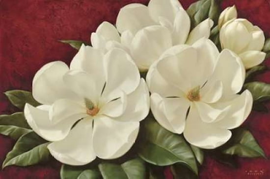 Magnolia II Canvas Art - Igor Levashov (24 x 36)