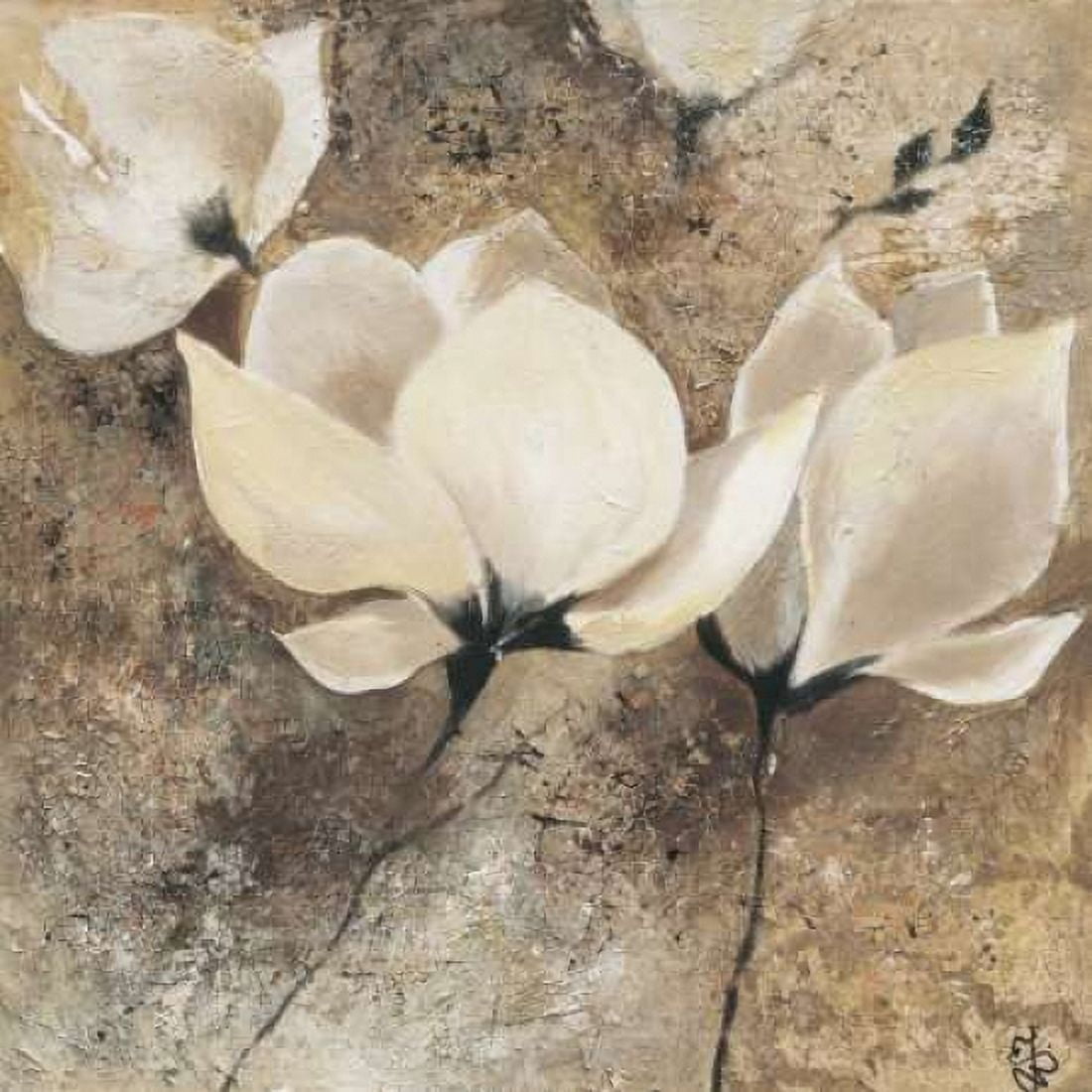 Magnolia II Canvas Art - Yuliya Volynets (24 x 24)