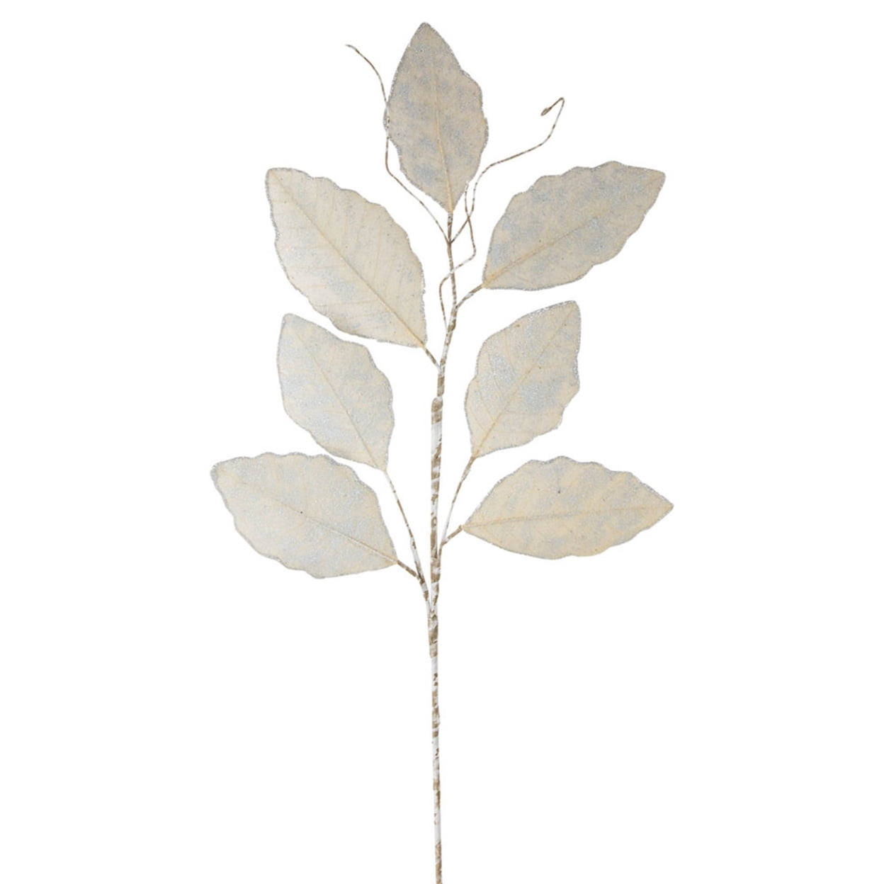 Elegant Silver and Gold Magnolia Leaf Spray Set of 12