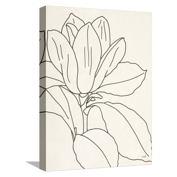 Art.com Magnolia Line Drawing v2 Crop Stretched Canvas Print Wall Art by Moira Hershey, 12" x 16"