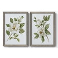 thumbnail image 1 of Magnolia Morning I - Premium Framed Canvas 2 Piece Set - Ready to Hang, 1 of 7