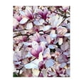 thumbnail image 1 of Magnolia Pareidolia - Kingston New York Photography Floral Flowers Botanical Nature Garden Pastel Scenic Unframed Wall Art Print 30 x 40 inches, 1 of 13