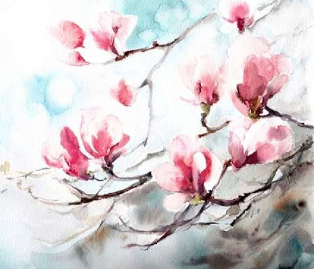 Magnolia - Spring Canvas Art - CanotStop (24 x 24)