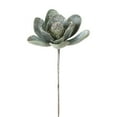 thumbnail image 1 of Magnolia Stem (Set of 6) 18.25"H Velvet, 1 of 1