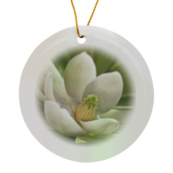 3drose, Magnolia Tree Flower Blossom - Na01 Aje0189 - Adam Jones, Circle Porcelain Ornament