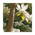 thumbnail image 1 of Magnolia Tree Splendor - Canvas, 1 of 10