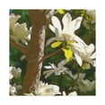 thumbnail image 1 of Magnolia Tree Splendor - Canvas, 1 of 10