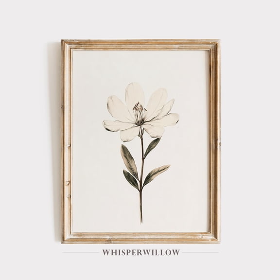 Magnolia Vintage Floral Illustration,, White Modern Botanical Drawing, Elegant Classic Floral Sketch Home Decor, 24x36 UNFRAMED