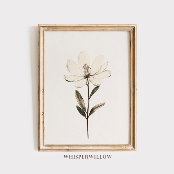 Magnolia Vintage Floral Illustration,, White Modern Botanical Drawing, Elegant Classic Floral Sketch Unframed Paper Print